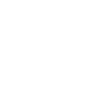 icon1