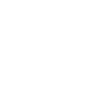 icon2